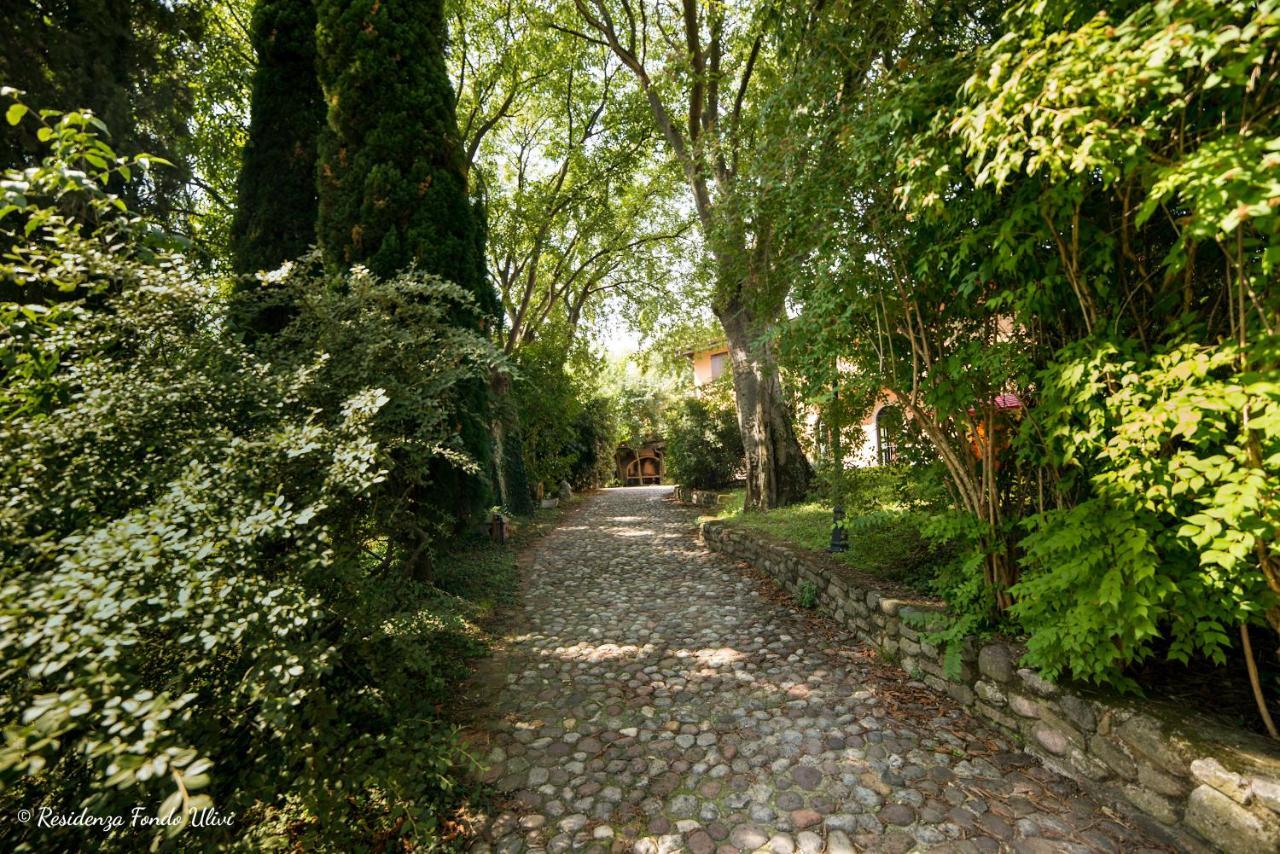 Residenza Fondo Ulivi Villa Ponti sul Mincio Luaran gambar